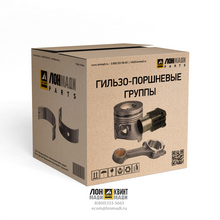Поршень в комплекте (04281447) Part № LP04281447 LONMADI PARTS